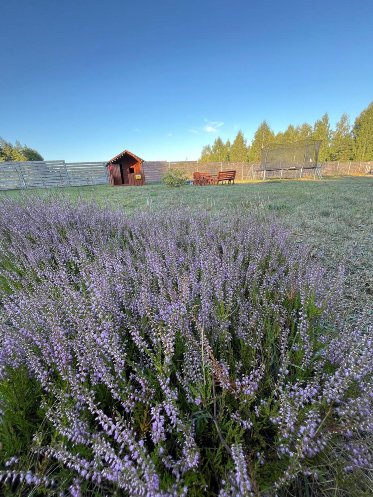 Zakatek Lipowy Most Exterior photo